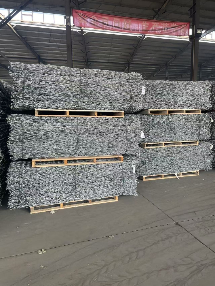 微信截圖_20250307091646 微信截圖_20250307091646